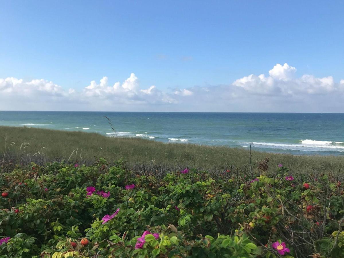 Ocean-view-i-holiday-apartments-sylt Rantum (Sylt)